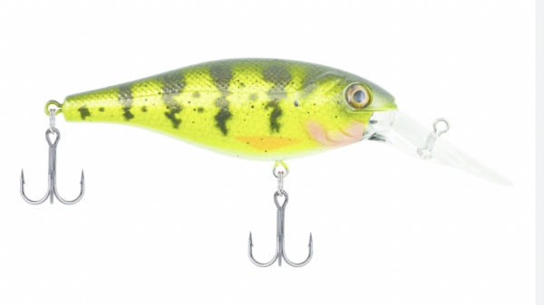 Yellow perch 2 600x337