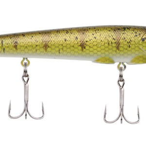 Yellow perch 3 300x300