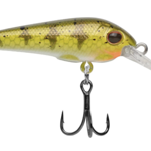Yellow perch 4 300x300