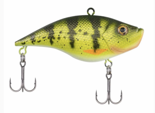 Yellow perch 5 600x439