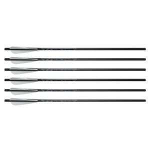 Accessory firebolt 6pack 300x300