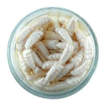 Berkley gajwx wh gulp alive 1 2 waxies  37600