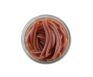 Berkley gulp alive angle worm 21oz