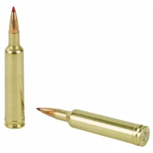 Hornady Precision Hunter 257 WBY MAG 110 gr ELD-X