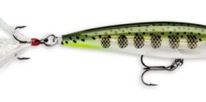 Large 431 xr ogmd 300x148