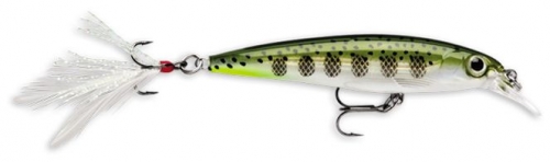 Large 431 xr ogmd