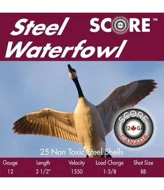 Score score steel waterfowl 12 ga 3 1 2 10 box fla