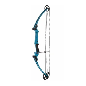 Teal 300x300