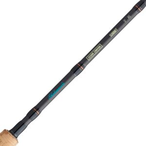 61ffttvoy0l 1 300x300