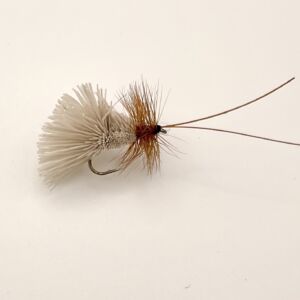 Img 0142 300x300