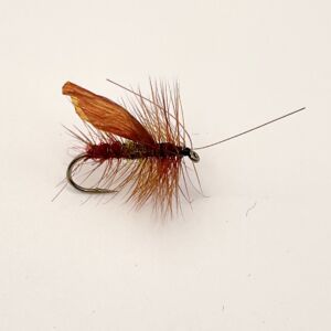 Img 0148 300x300