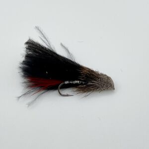Img 0155 300x300