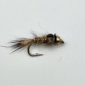 Img 0161 300x300