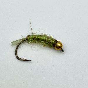 Img 0173 300x300