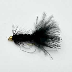 Img 0184 300x300
