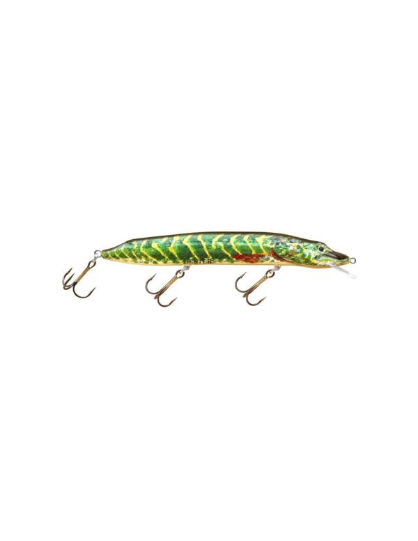 Monster pike 600x776