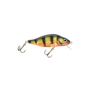 Perch 1 2 300x300