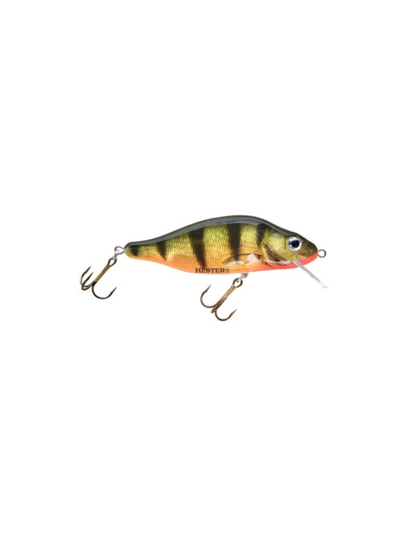 Perch 1 2 600x776