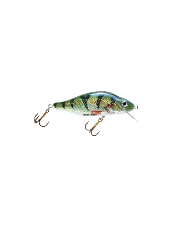 Perch 2 600x776